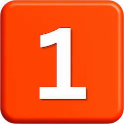 11.webp